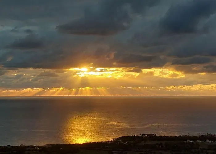 Homeric Poems アルゴストリオン